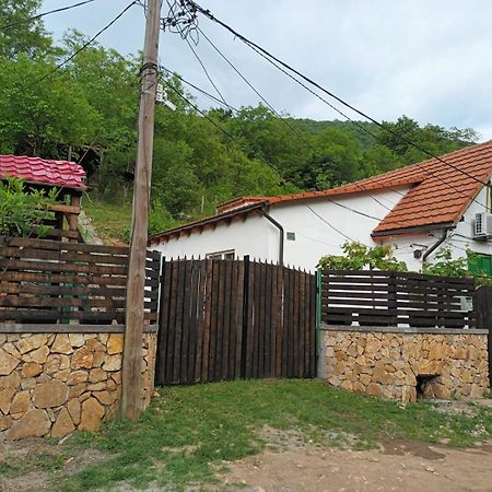 Andrei Villa Sasca Montana Exterior photo