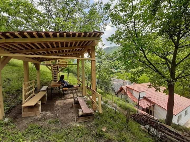 Andrei Villa Sasca Montana Exterior photo