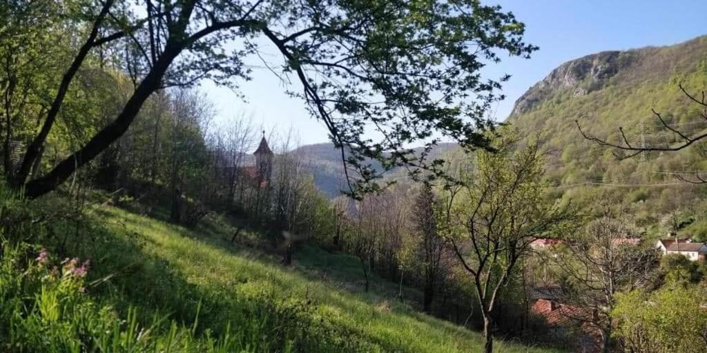 Andrei Villa Sasca Montana Exterior photo