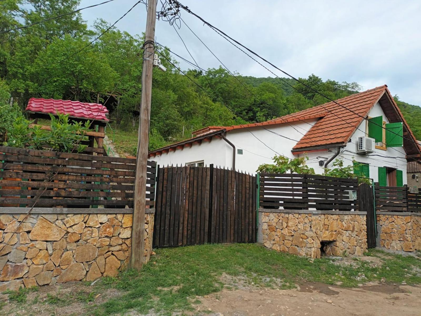 Andrei Villa Sasca Montana Exterior photo